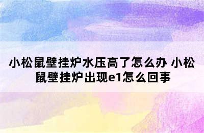 小松鼠壁挂炉水压高了怎么办 小松鼠壁挂炉出现e1怎么回事